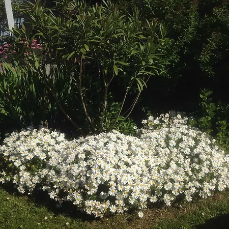 Aiguemarine * La Baule