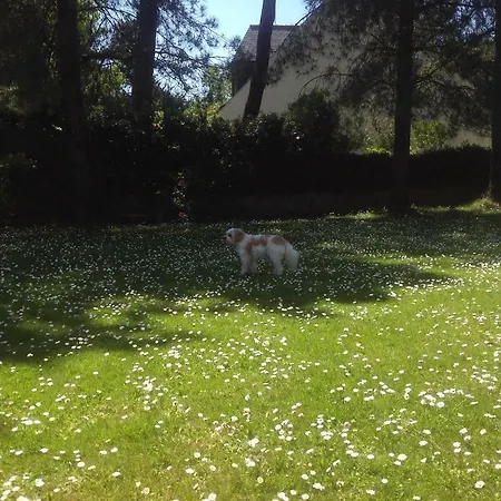 Aiguemarine 아파트 La Baule