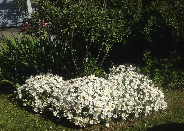 Aiguemarine * La Baule-Escoublac